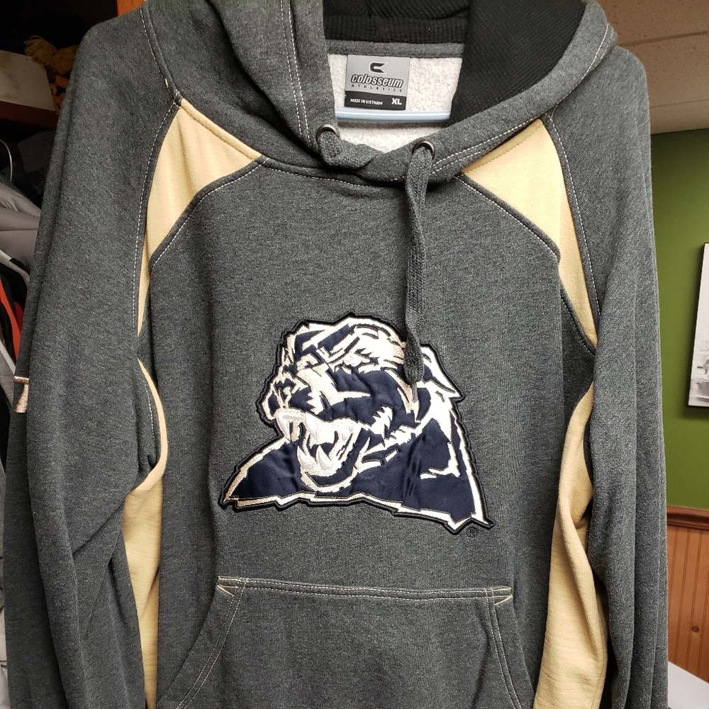 Pitt Panthers Hoodie